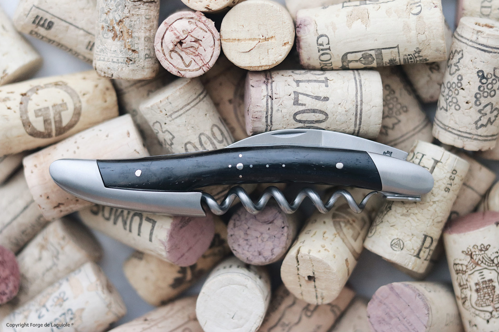 forge de laguiole Sommelier Messer Ebenholz