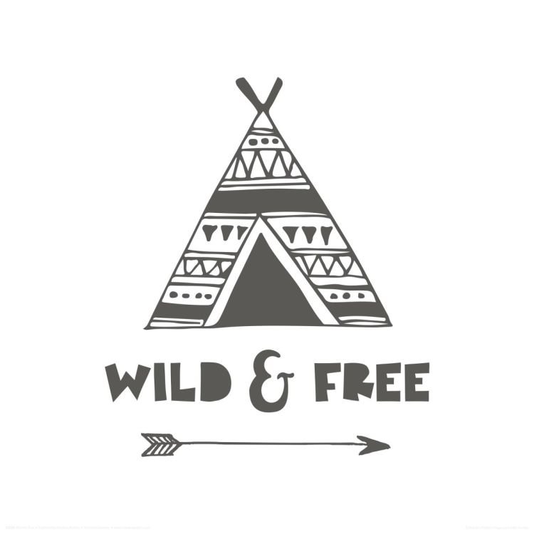 Reinders Wandbild 30x30  'Wild And Free' , 83492