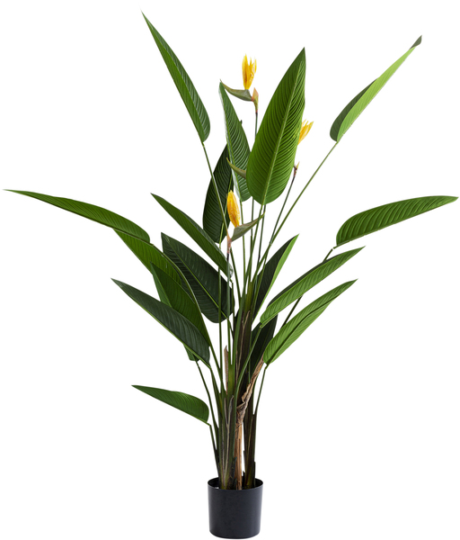 Deko Pflanze grün - 190 cm - KARE Paradise Flowers