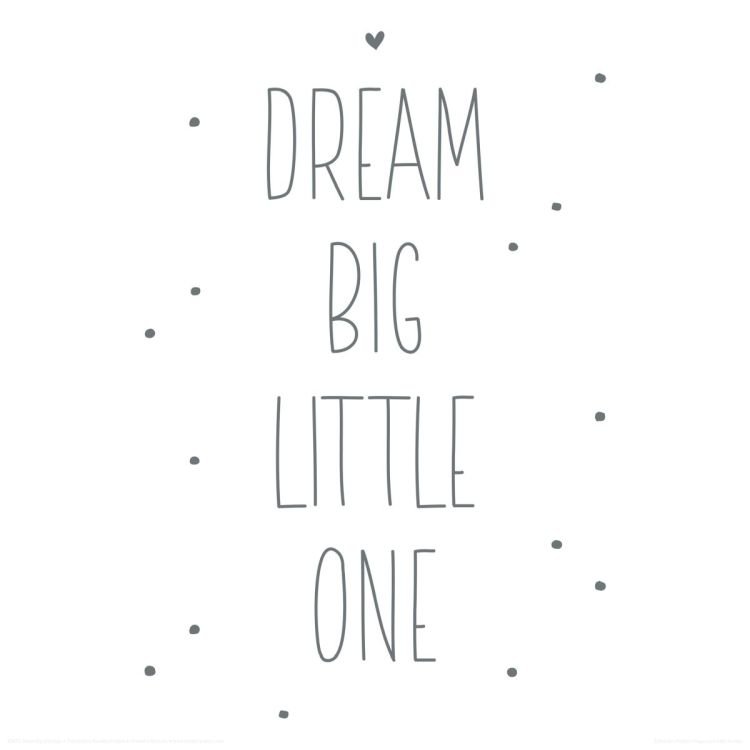 Reinders Wandbild 30x30  'Dream Big Little One' , 83485