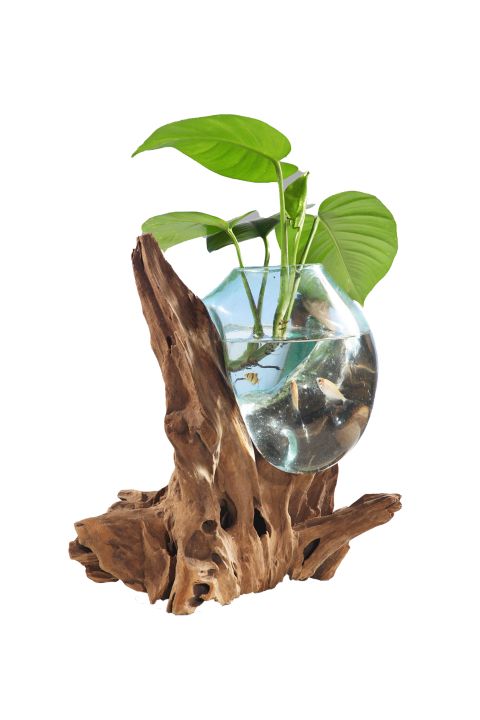 Unikat Deko Glas hoch Drop auf einer Teak-Wurzel 20 x 25 cm