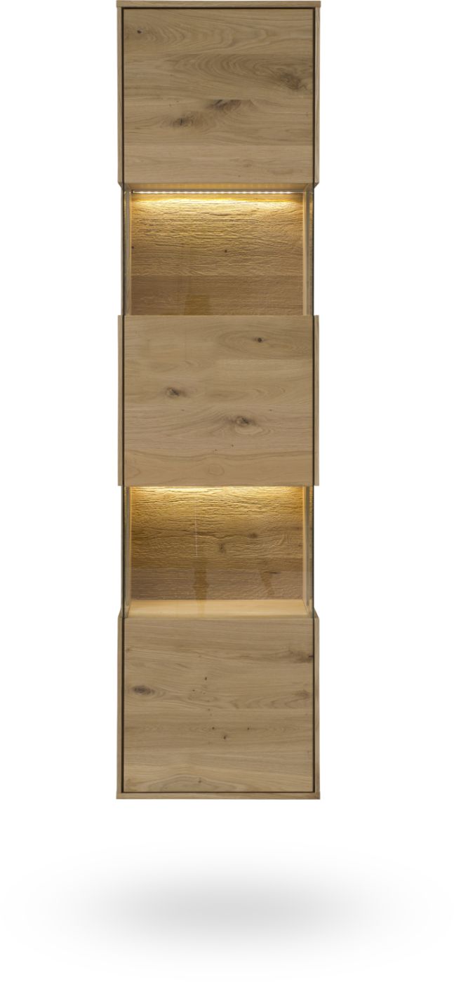 Hängevitrine St. Gallen Wildeiche