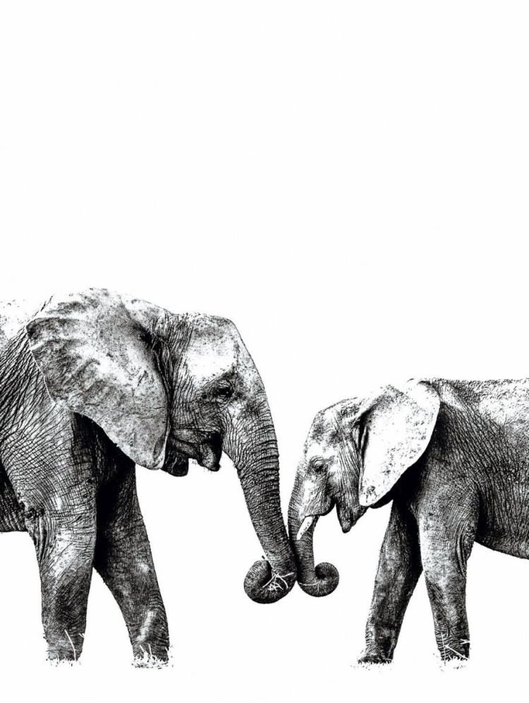Wandbild „Elephant Love“ 30×40 cm – Moderner Bilddruck auf MDF mit Holzrahmen