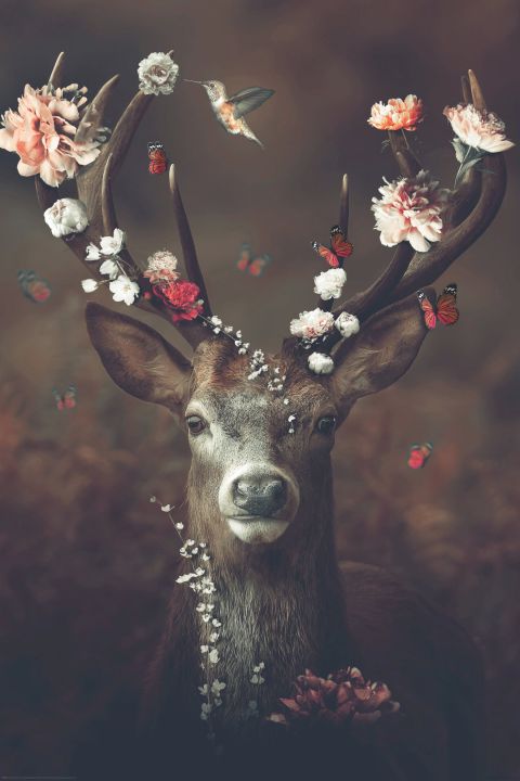Reinders Wandbild ''Fauna Flora Deer'' 60x90 cm