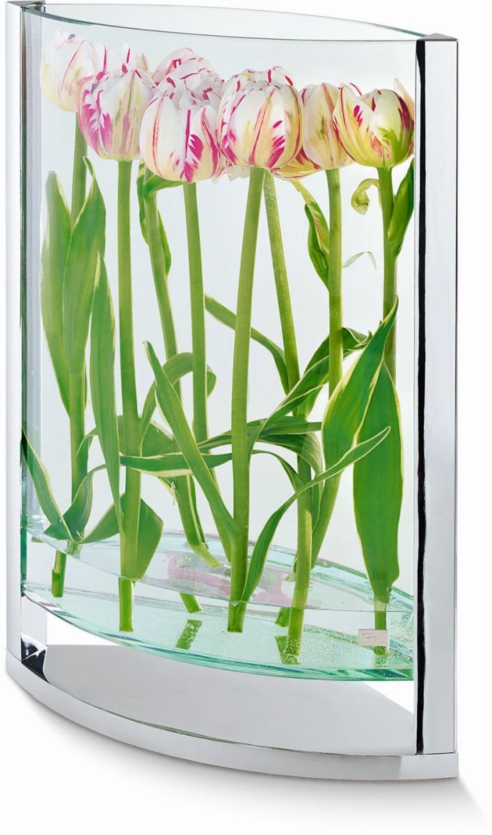 Philippi Vase S Decade