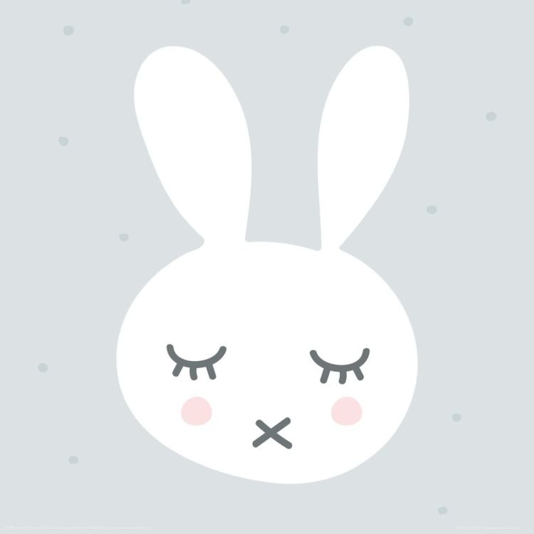 Reinders Wandbild 30x30  'Sleeping Bunny' , 83496