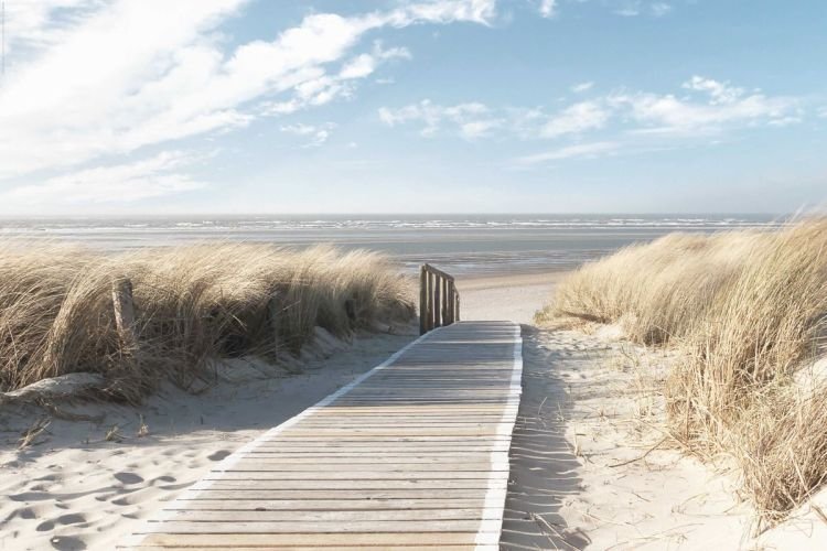 Reinders Wandbild 60x90cm ' Dunes ' , 29351